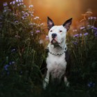 Profil Bild